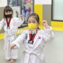 용인대 한여울 태권도장 이미지