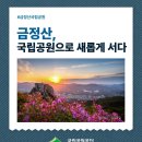 금정산 진달래산행 1탄 (만덕-석불사-진달래능선-남문-대륙봉-산성고개) 이미지