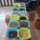 약초랑 닭이랑 이미지