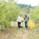 우리농산물직판장 - 포천시 정금로 356-5 | 우리농산물직판장