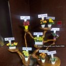 성림내과의원 이미지