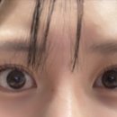 테일디뷰티