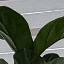 서울영동내과의원 이미지