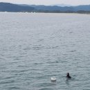 죽변3리 이미지