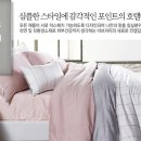 고양이브자리
