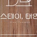 스테이 태연 이미지