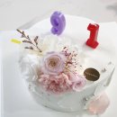 나폴레옹 | 나폴레옹 과자점 본점, 케이크 예약 및 후기