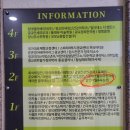 엘핀네일 이미지