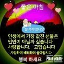 심수 이미지