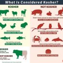 코셔(KOSHER) 이미지