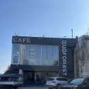 인천의 갯벌 이야기 | 갯벌체험 가능한 영흥도 오션뷰 카페 추천 머드 포레스트