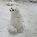 멈무유치원 네이버블로그