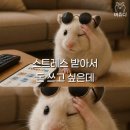 마이스테이