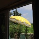 호텔코코 이미지