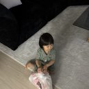도씨