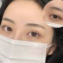 사파동101 이미지