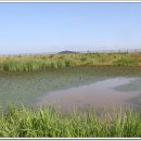 난정낚시터 이미지