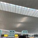 하늘복권마트 | 8박10일 스페인 여행기🇪🇸Day 3,4 - 마트 투어, 바르셀로나 공항 투어, 세비야 이동✈️, 세비야 대성당...
