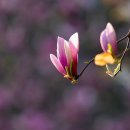 수레와바퀴 이미지