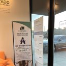 ㈜유럽모터스 | 나온 소파전문브랜드, 소파맛집 코지애드 방문 후기XD [소파추천][김포가구단지] ※사진많음주의!!