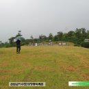 성사영 묘 네이버블로그