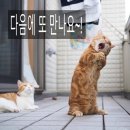 공덕인과한의원 이미지