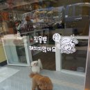 정말귀엽개 네이버블로그