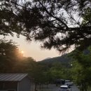 [양양] 강아지랑 함께하는 설악산 캠핑장 오색산새소리캠핑장 / 물소리존 4번