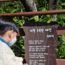 여수미평산림욕장 유아숲체험원 이미지
