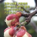 계양산 정상 이미지
