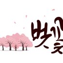 주식회사 벚꽃