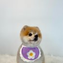 루이앤코코 이미지