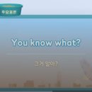 a two-volume diary | [리얼클래스 학습 후기]마이펫의이중생활로 The next thing I know.(정신 차리고 보니) 배우기