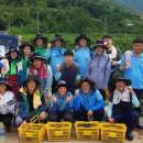 대상(주) 순창공장 - 15377 | 대상(주) 순창공장
