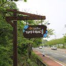 분산스카이투어 이미지