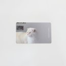 렌즈미 루원시티점 이미지