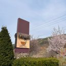 두부네 애견카페 이미지