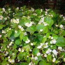 천백 휴양펜션 이미지