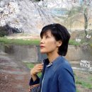 삼풍가든 이미지