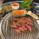 촛불구이 삼겹살 갈비살 | 식사동삼겹살맛집 상록회관 연탄구이! 소갈비살부터 오돌갈비, 해산물까지 갓성비 끝판왕 🥩🐚