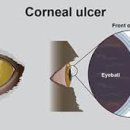 스마일 동물병원 이미지