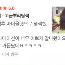 보성미용실 - 포항시 북구 칠성천길 98 | 보성미용실