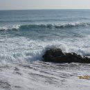 선근이네 이미지