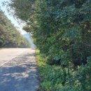 세븐동량 이미지