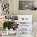 멍뭉이 살롱 이미지