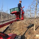 볼빨간 농원 이미지