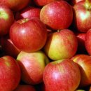 농수산실업 이미지