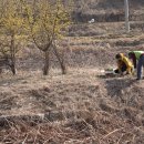 수선화경로당 이미지