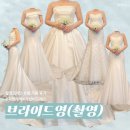 브라이드영 촬영드레스 6벌 가봉 상세후기(드투X,지정계약 이유,꿀팁)