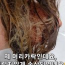 바이진영 이미지
